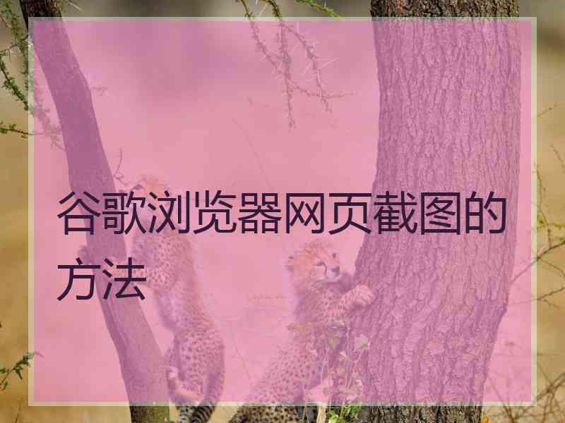 谷歌浏览器网页截图的方法