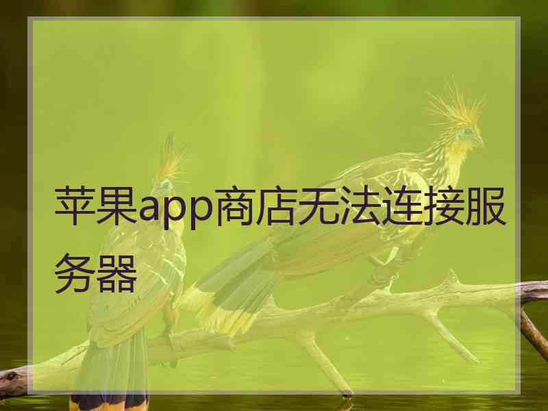 苹果app商店无法连接服务器