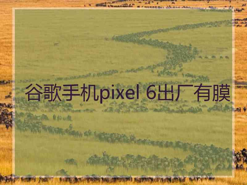 谷歌手机pixel 6出厂有膜