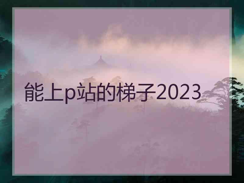 能上p站的梯子2023