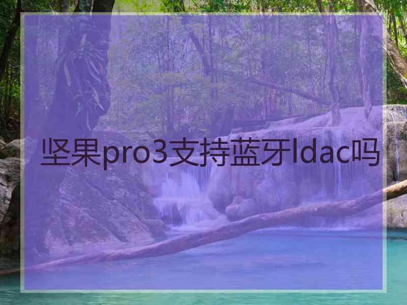 坚果pro3支持蓝牙ldac吗