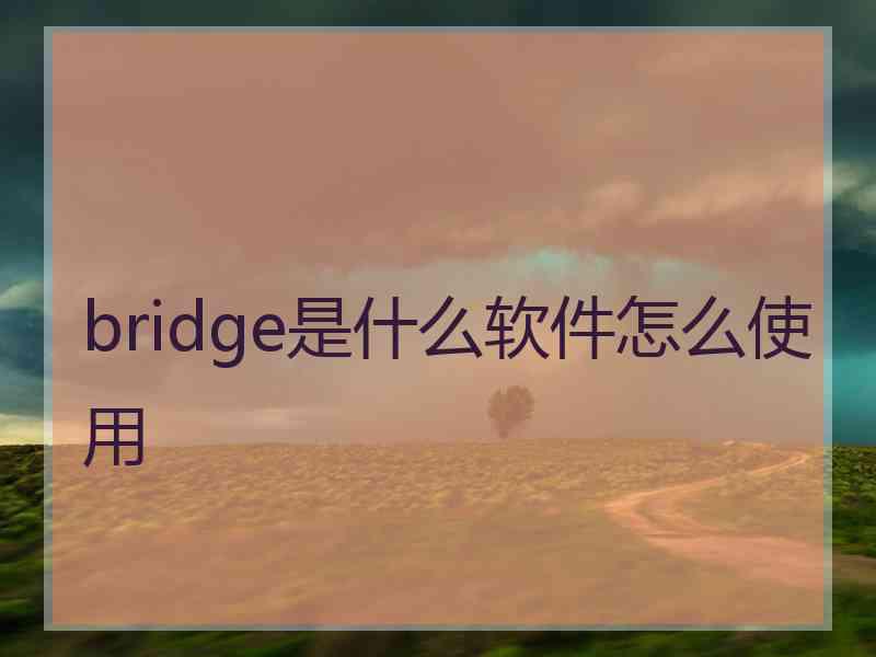 bridge是什么软件怎么使用