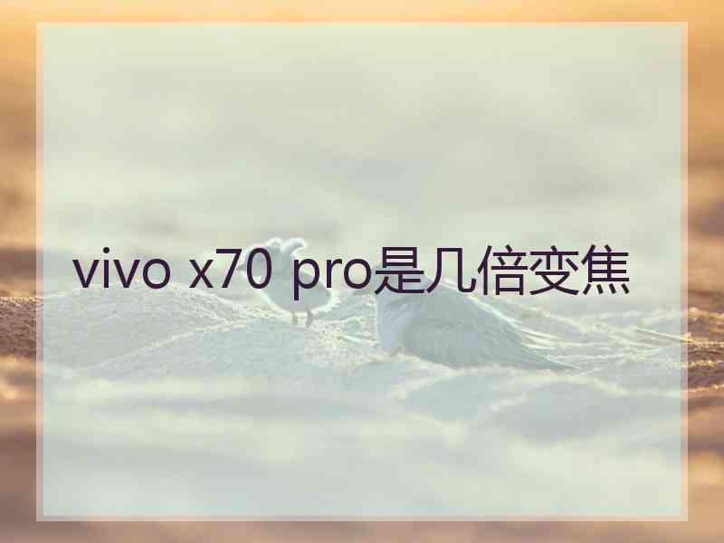 vivo x70 pro是几倍变焦