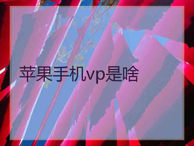 苹果手机vp是啥