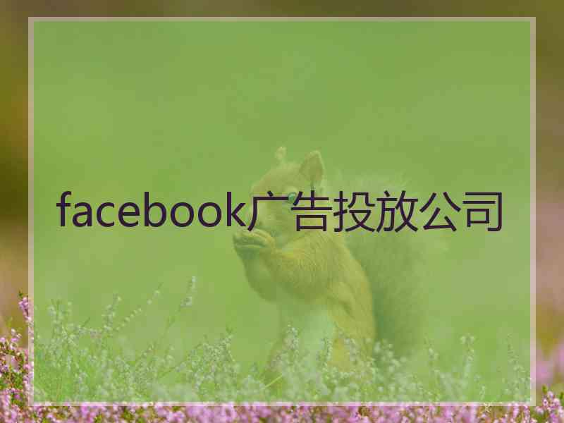 facebook广告投放公司