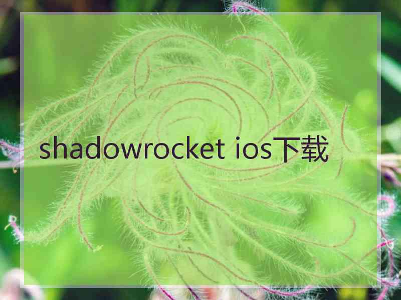 shadowrocket ios下载