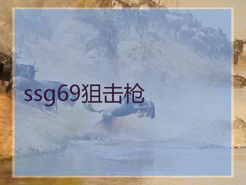 ssg69狙击枪