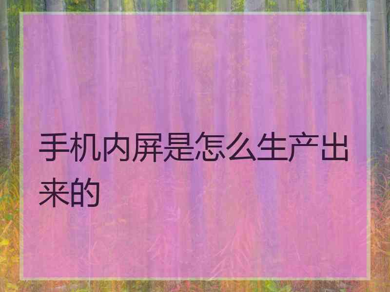 手机内屏是怎么生产出来的