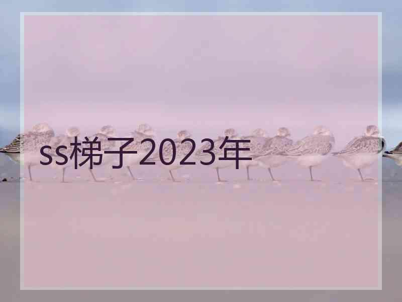 ss梯子2023年