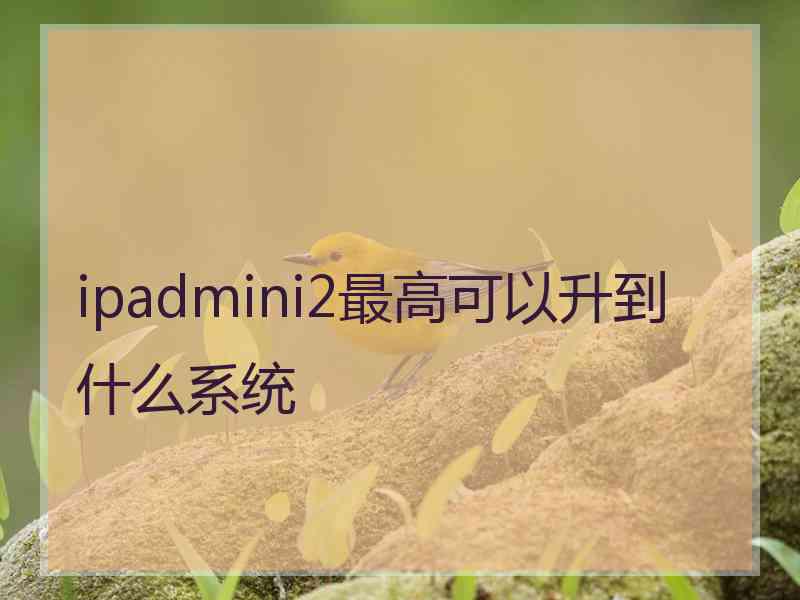 ipadmini2最高可以升到什么系统