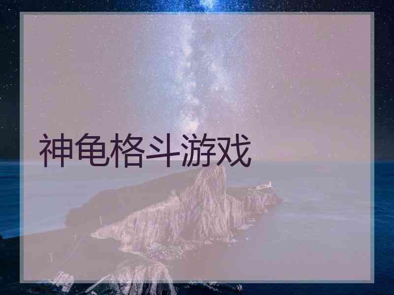 神龟格斗游戏