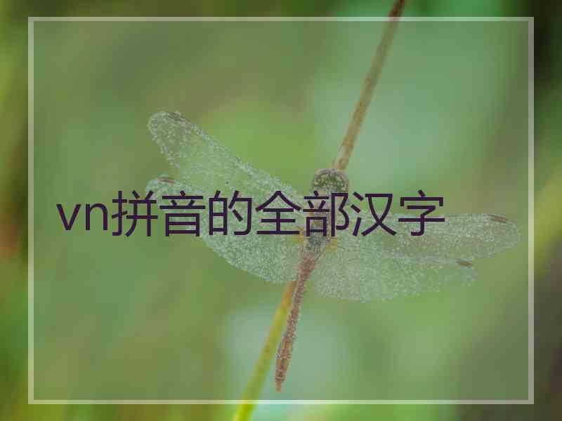 vn拼音的全部汉字