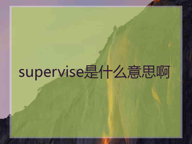 supervise是什么意思啊