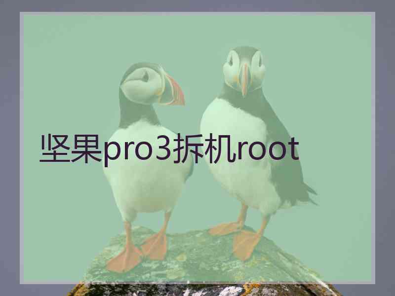 坚果pro3拆机root