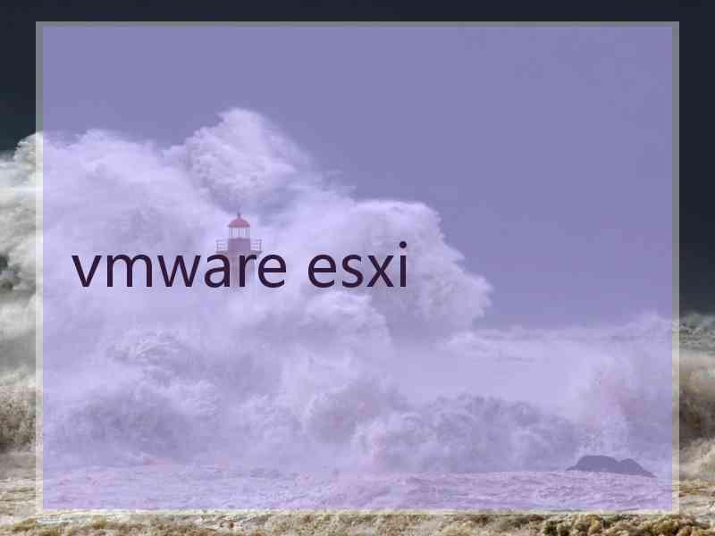 vmware esxi