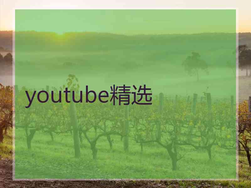 youtube精选