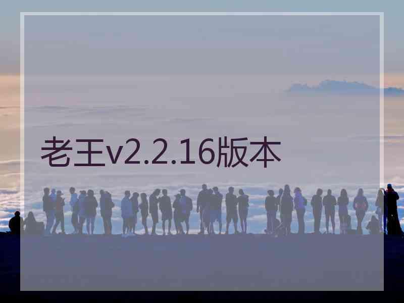 老王v2.2.16版本