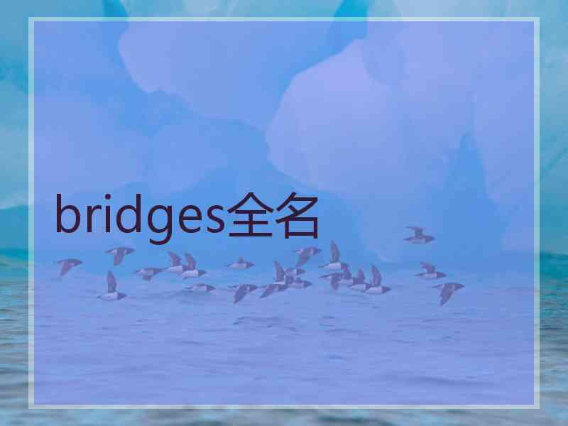 bridges全名