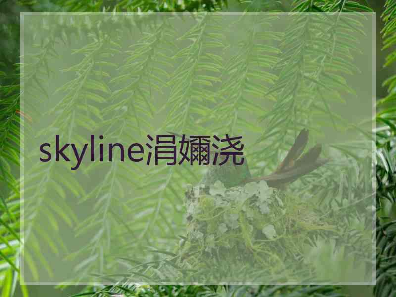 skyline涓嬭浇