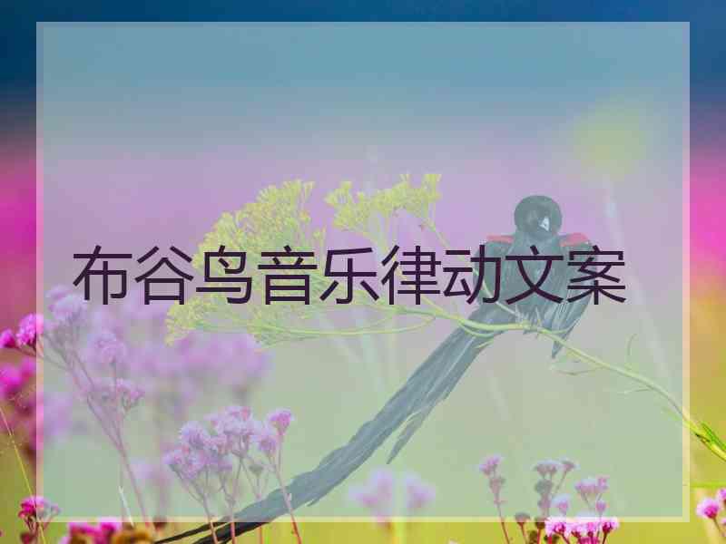 布谷鸟音乐律动文案