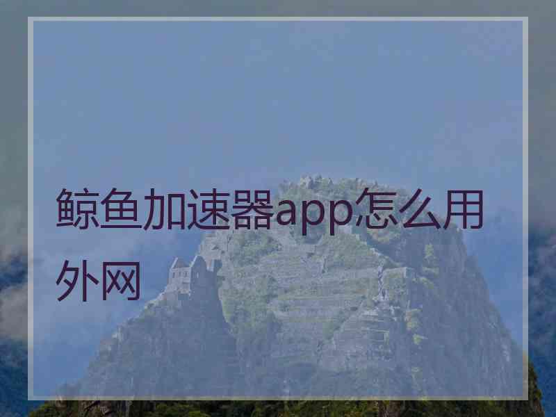 鲸鱼加速器app怎么用外网