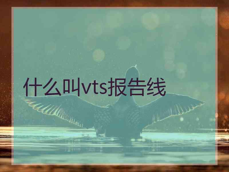 什么叫vts报告线