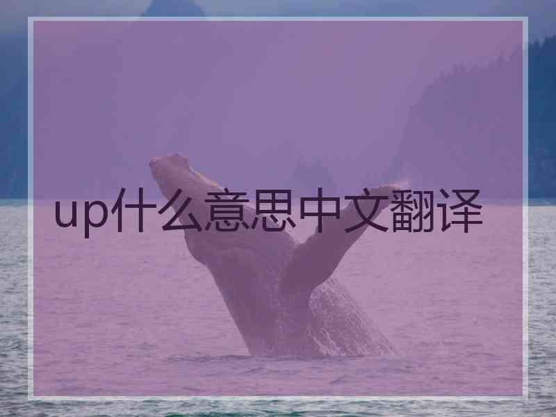 up什么意思中文翻译