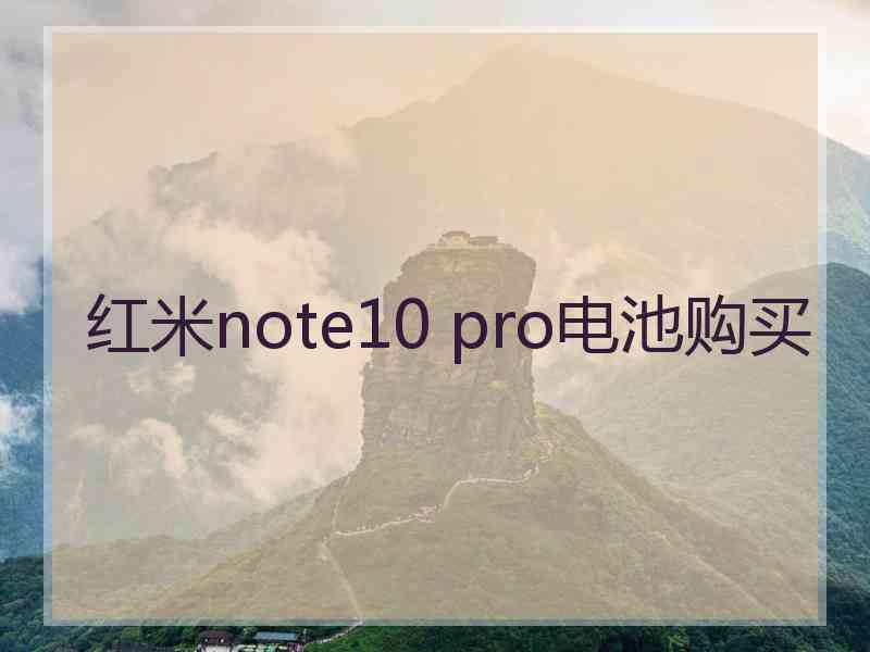 红米note10 pro电池购买