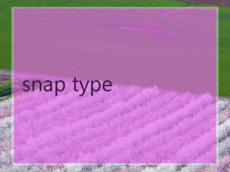 snap type