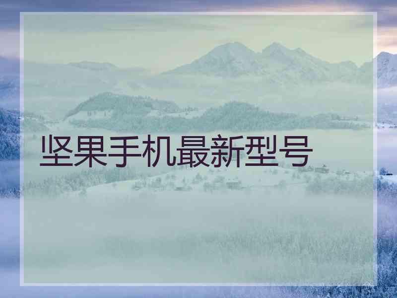 坚果手机最新型号