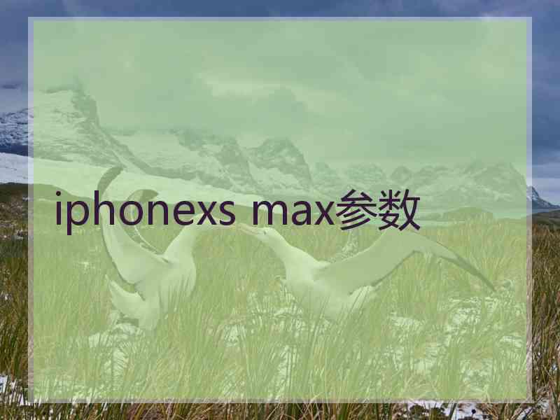 iphonexs max参数