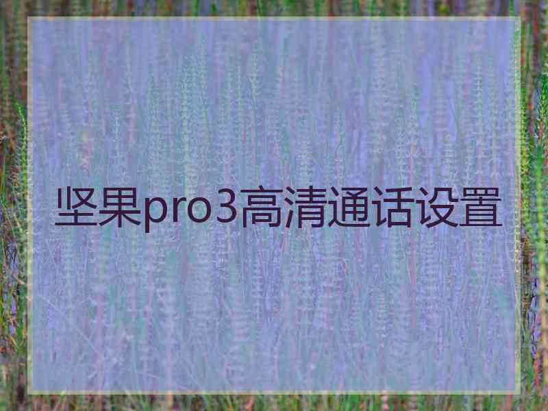 坚果pro3高清通话设置