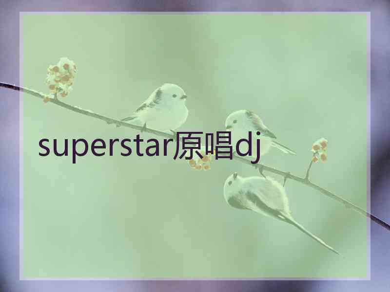 superstar原唱dj