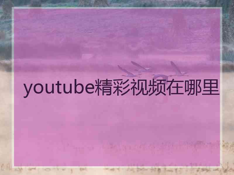 youtube精彩视频在哪里