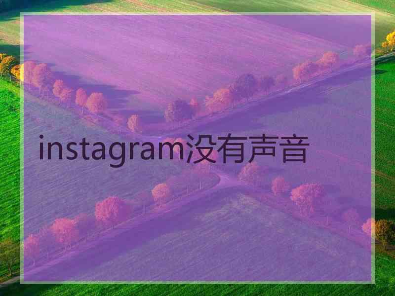 instagram没有声音