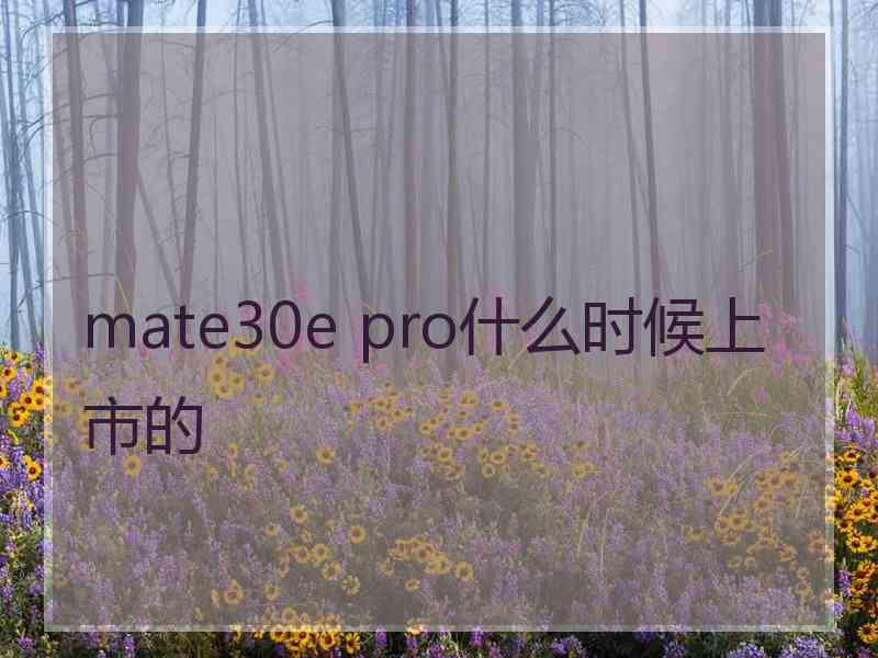 mate30e pro什么时候上市的