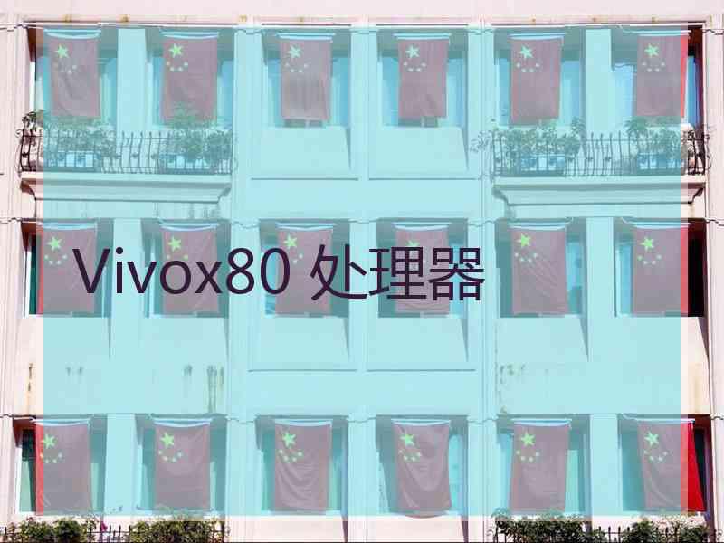 Vivox80 处理器