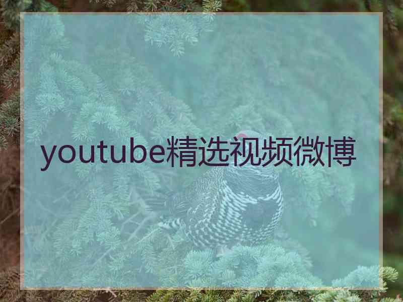 youtube精选视频微博