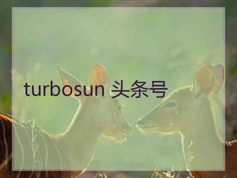 turbosun 头条号