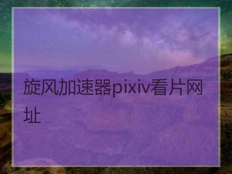 旋风加速器pixiv看片网址