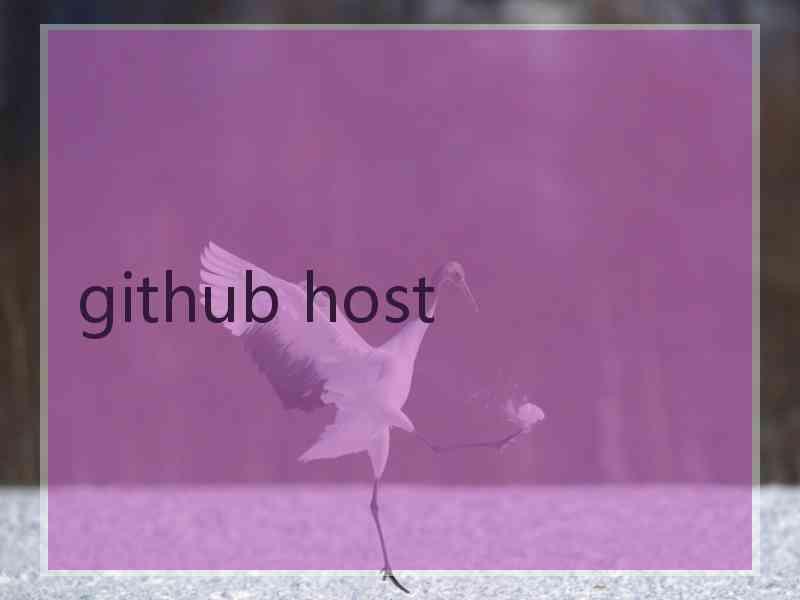 github host