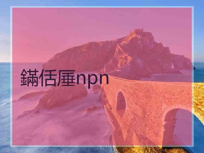 鏋佸厜npn