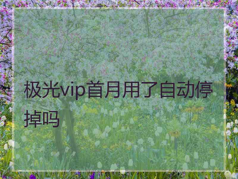 极光vip首月用了自动停掉吗