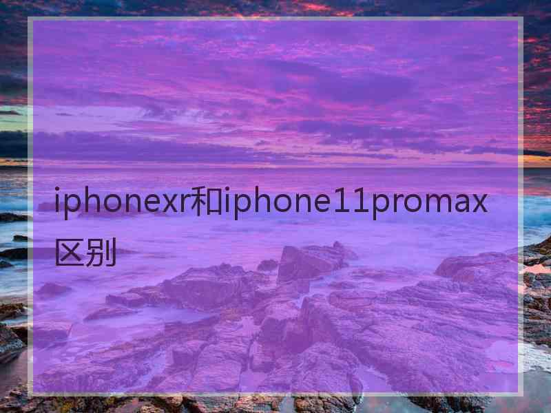 iphonexr和iphone11promax区别