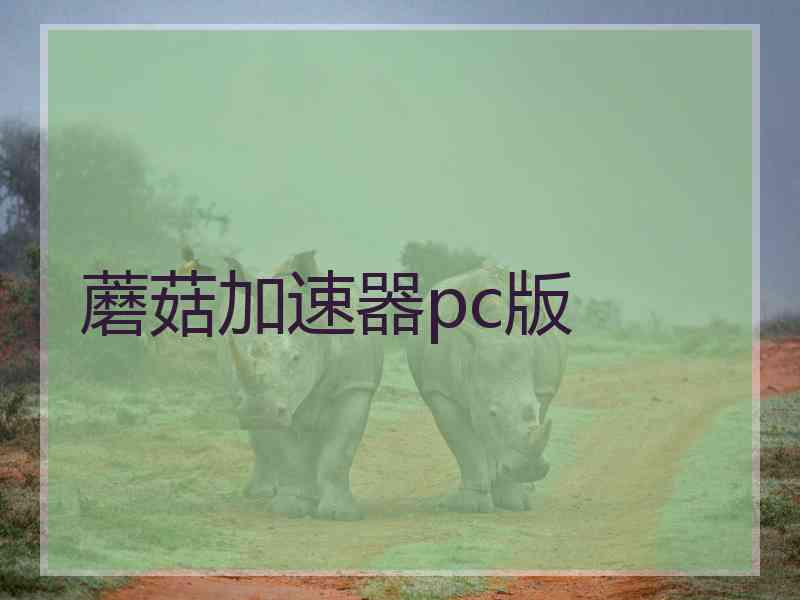 蘑菇加速器pc版