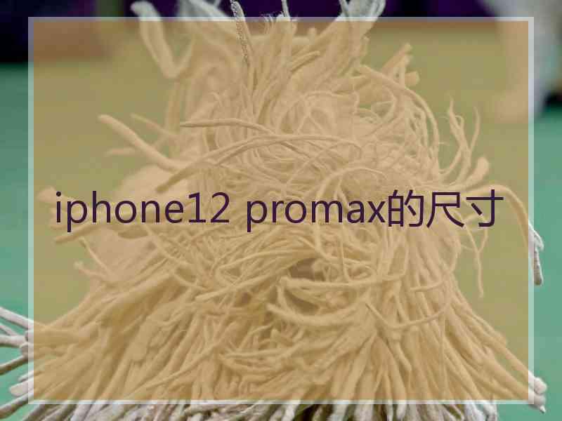 iphone12 promax的尺寸