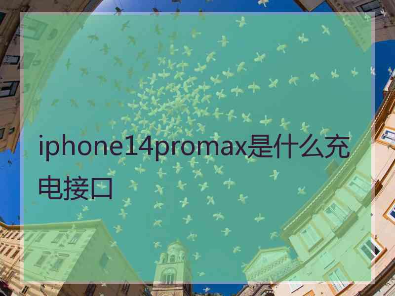 iphone14promax是什么充电接口