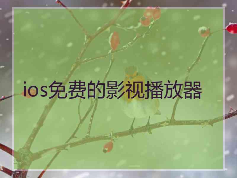 ios免费的影视播放器