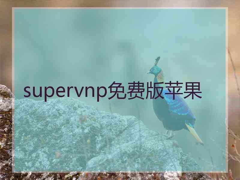 supervnp免费版苹果