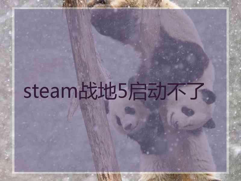 steam战地5启动不了